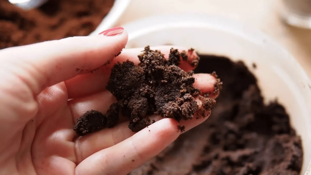 Cuidados ao Usar Borra de Café
